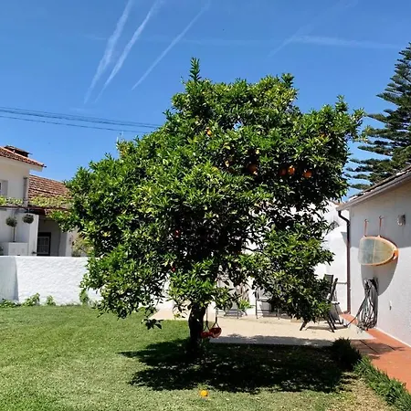 Casa Do Paco Studio&rooms ホームステイ