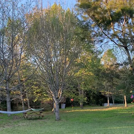 Privat bolig Casa Do Paco - Studio&rooms Aveiro