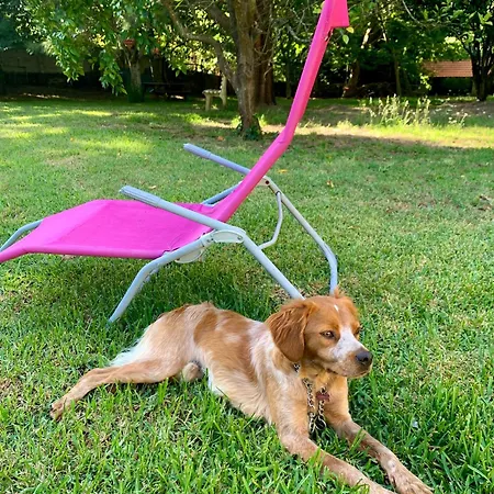 Casa Do Paco - Studio&rooms ホームステイ アヴェイロ