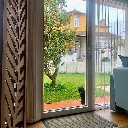 ホームステイ Casa Do Paco - Studio&rooms アヴェイロ