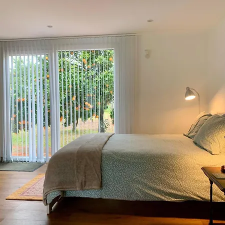 Accommodatie bij particulieren Casa Do Paco Studio&rooms Aveiro