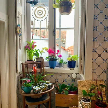 Privat bolig Casa Do Paco - Studio&rooms Aveiro