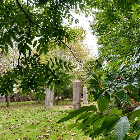 Habitación en casa particular Casa Do Paco - Studio&rooms *