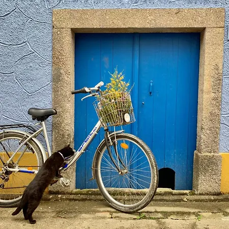 Séjour chez l'habitant Casa Do Paço Studio&rooms *