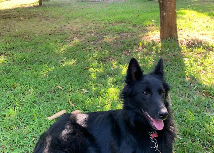 Casa Do Paco - Studio&rooms