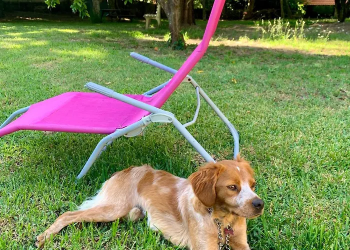 Casa Do Paco - Studio&rooms Rum i privatbostad Aveiro