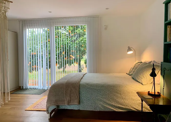 בית אירוח Casa Do Paco - Studio&rooms אבאירו