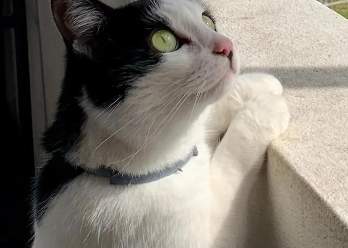 Casa Do Paco - Studio&rooms Rum i privatbostad