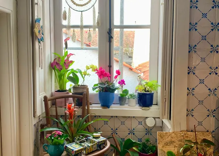 Rum i privatbostad Casa Do Paco - Studio&rooms Aveiro