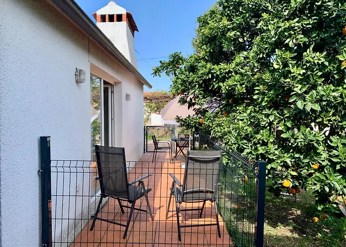 בית אירוח Casa Do Paco - Studio&rooms אבאירו