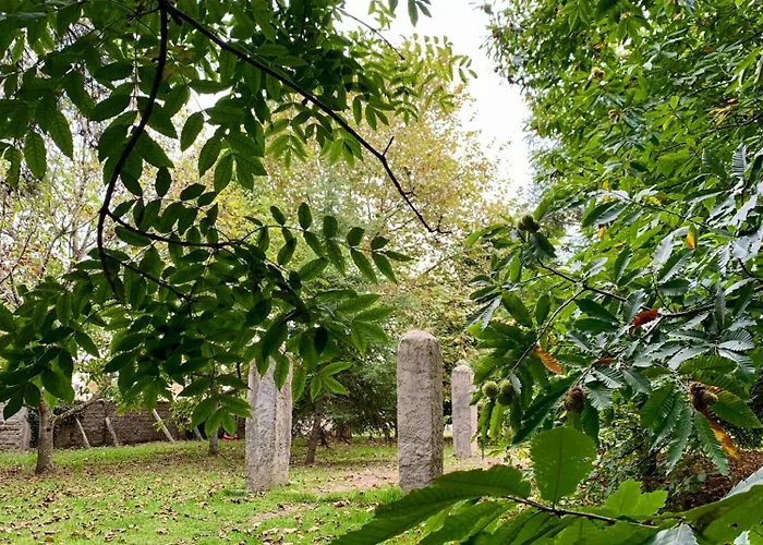 Rum i privatbostad Casa Do Paco - Studio&rooms *